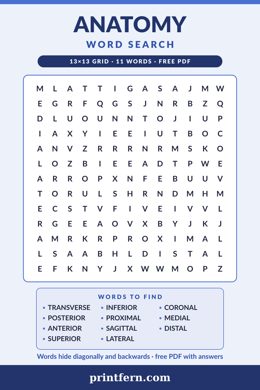 Anatomy Word Search, free printable PDF preview