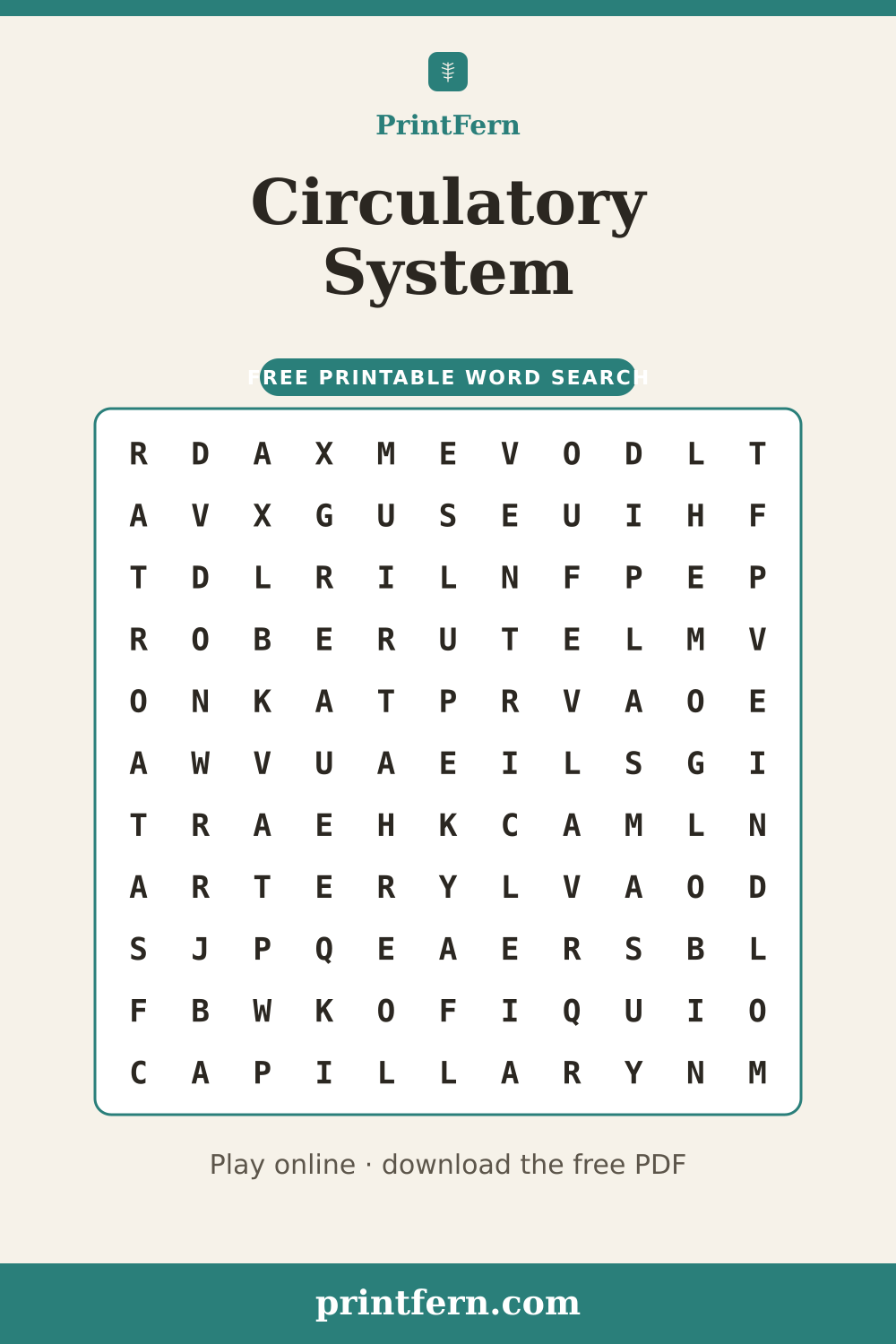 Circulatory System Word Search, free printable PDF preview