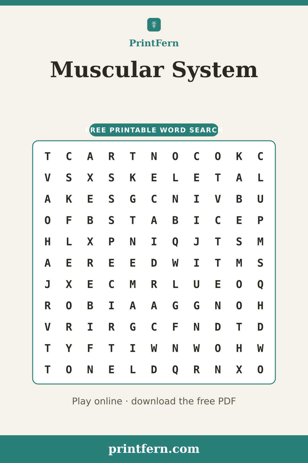 Muscular System Word Search, free printable PDF preview