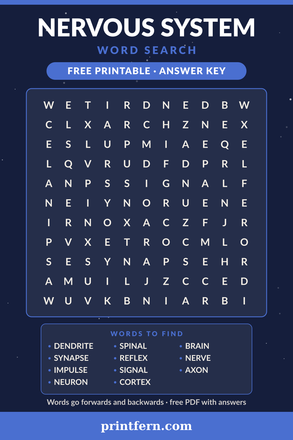 Nervous System Word Search, free printable PDF preview