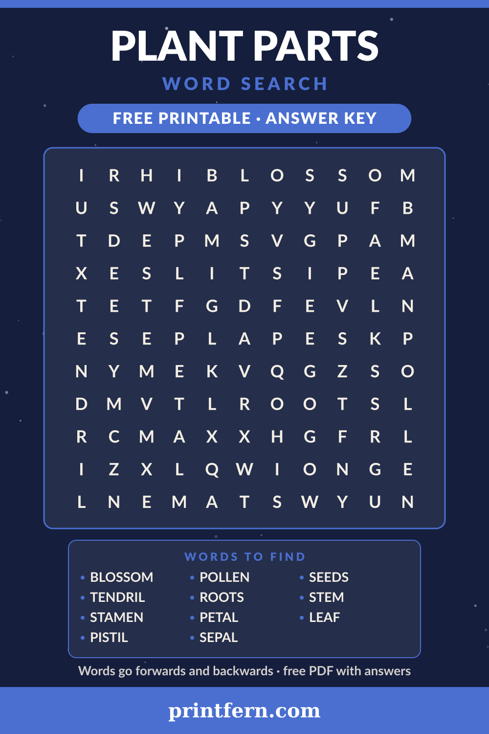 Plant Parts Word Search, free printable PDF preview
