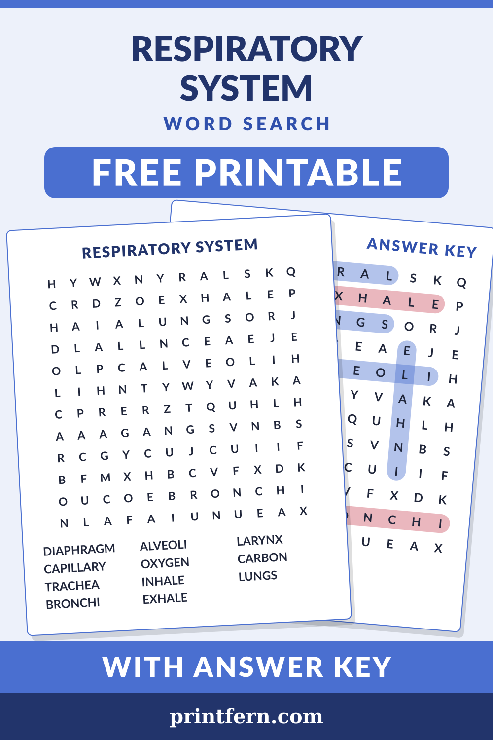 Respiratory System Word Search, free printable PDF preview