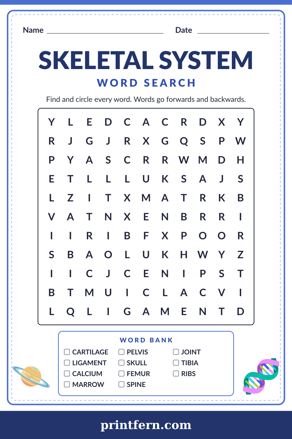 Skeletal System Word Search, free printable PDF preview