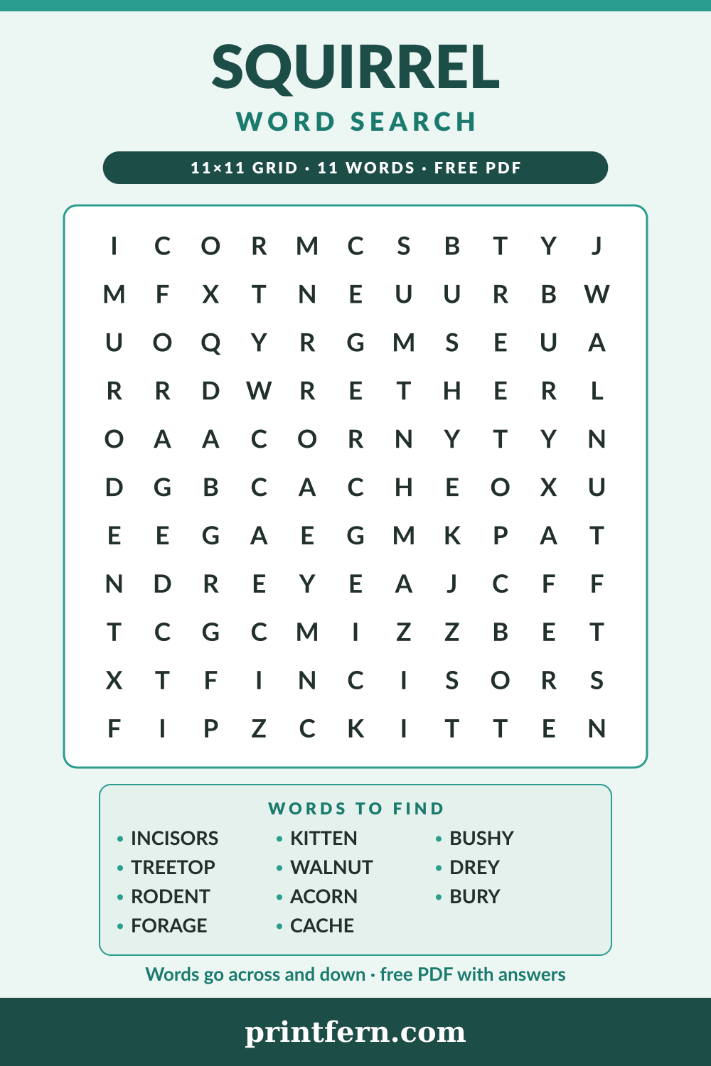 Squirrel Word Search, free printable PDF preview
