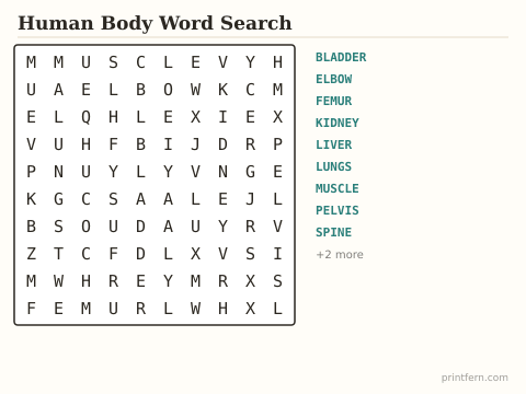 Human Body Word Search preview